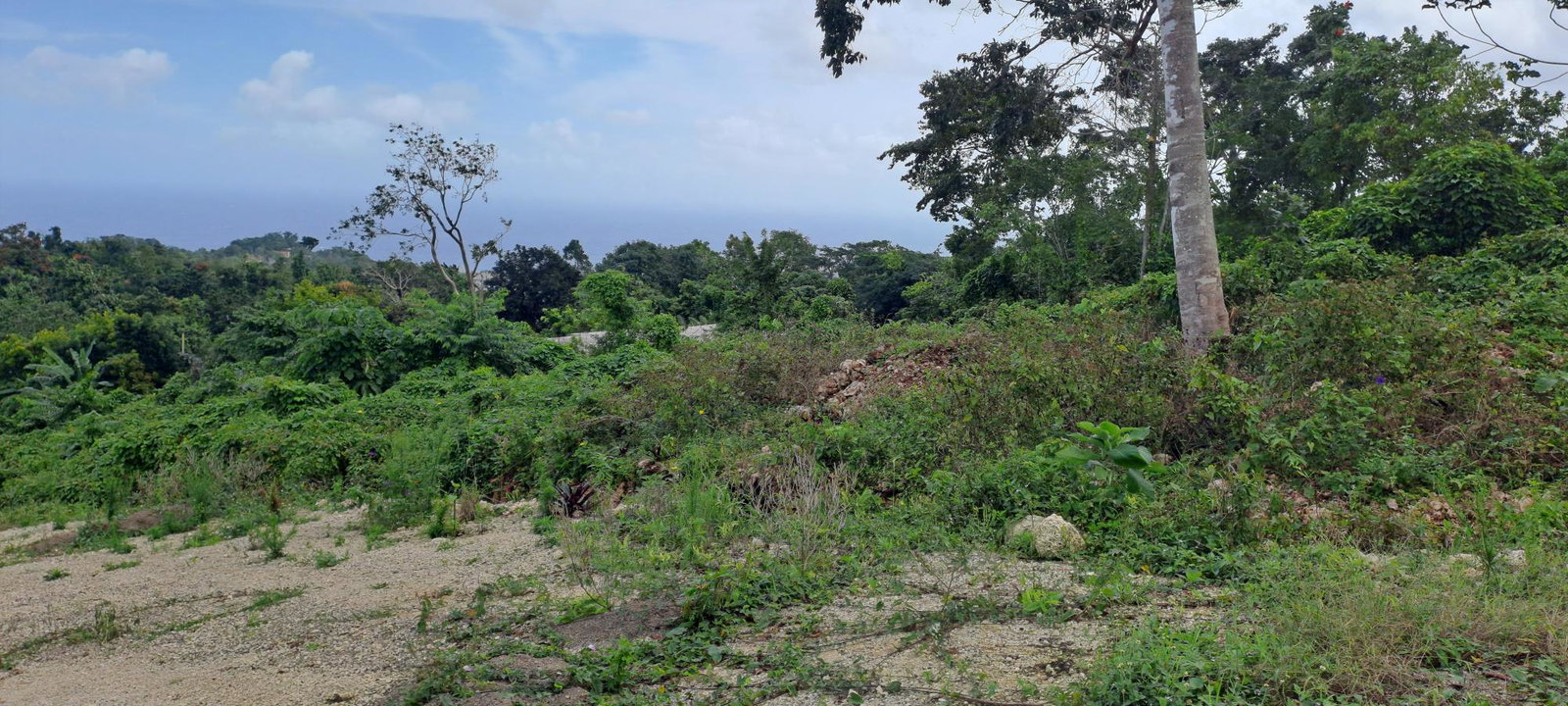 Fifth image of Lot 4- Part of Three Hills in Three Hills, St. Mary, Jamaica - property is For Sale