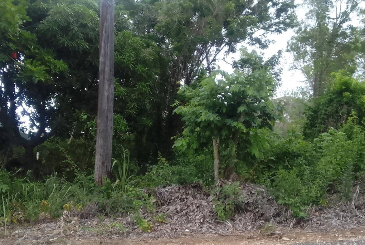 First image of 157 Torada Heights, Ironshore in Ironshore, St. James, Jamaica - property is For Sale