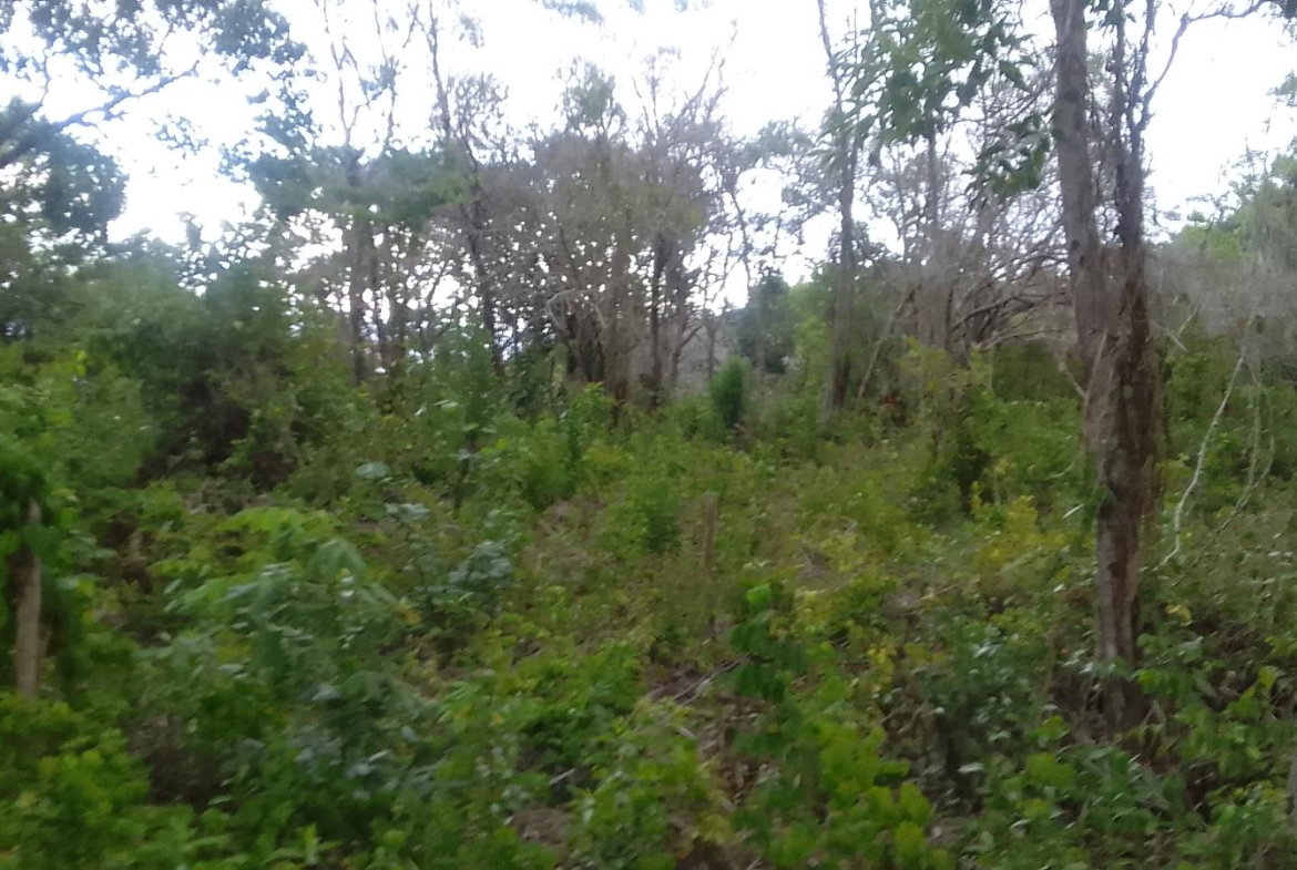 Third image of 157 Torada Heights, Ironshore in Ironshore, St. James, Jamaica - property is For Sale