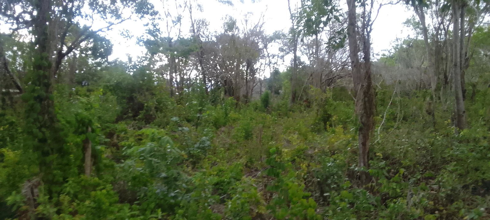 Third image of 157 Torada Heights, Ironshore in Ironshore, St. James, Jamaica - property is For Sale