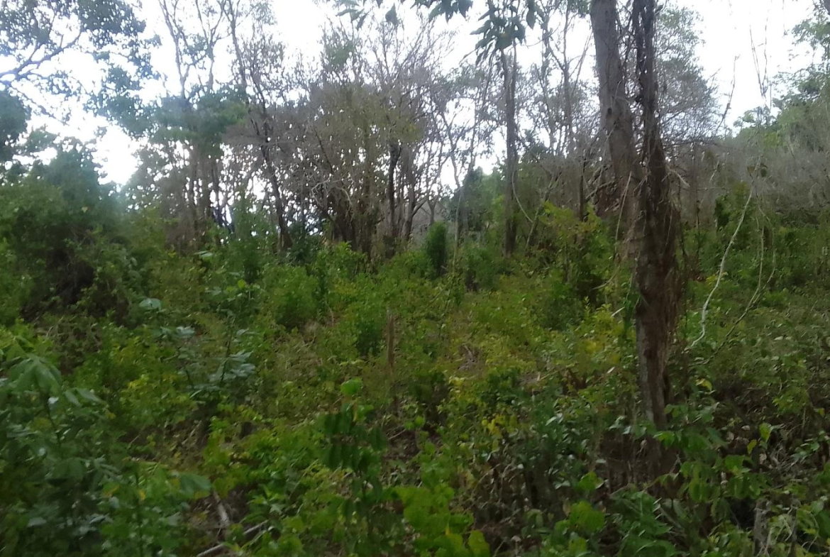 Fourth image of 157 Torada Heights, Ironshore in Ironshore, St. James, Jamaica - property is For Sale