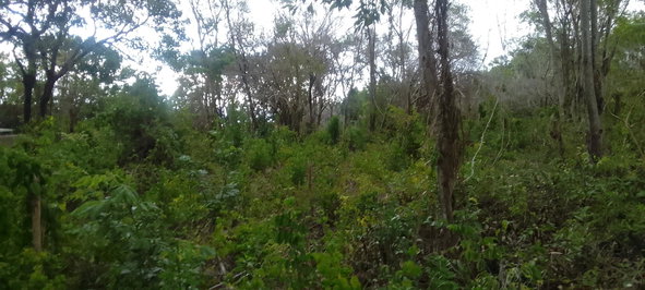 Fourth image of 157 Torada Heights, Ironshore in Ironshore, St. James, Jamaica - property is For Sale