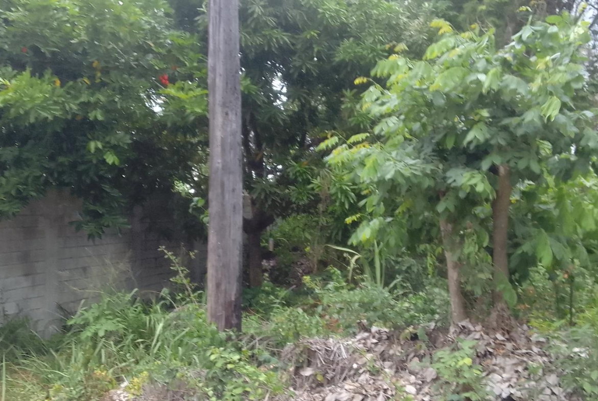 Fifth image of 157 Torada Heights, Ironshore in Ironshore, St. James, Jamaica - property is For Sale