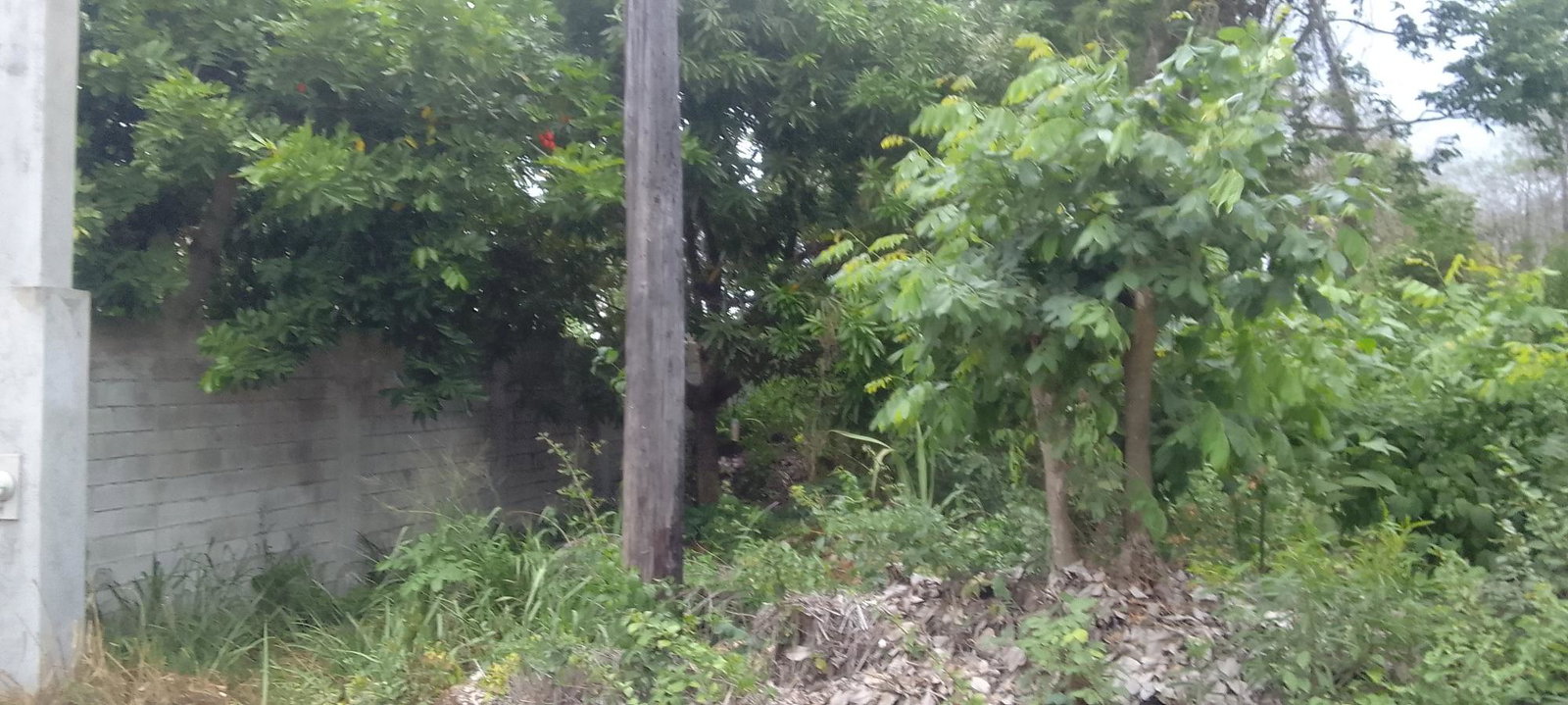 Fifth image of 157 Torada Heights, Ironshore in Ironshore, St. James, Jamaica - property is For Sale