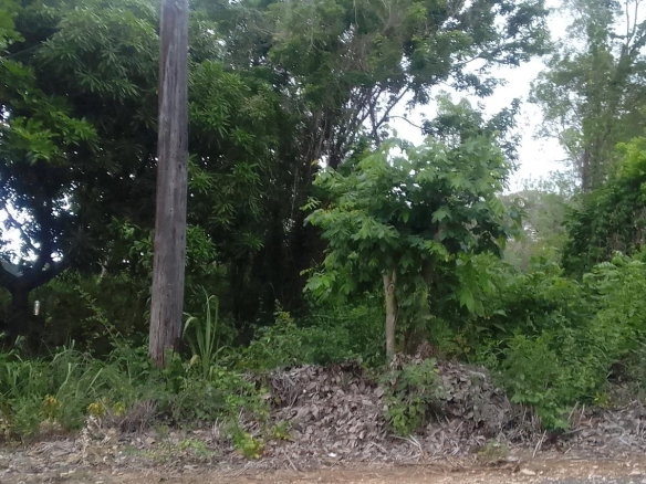 First image of 157 Torada Heights, Ironshore in Ironshore, St. James, Jamaica - property is For Sale