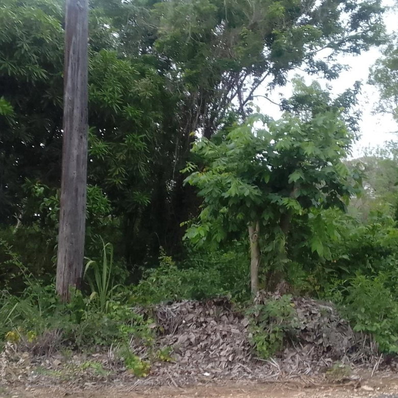 First image of 157 Torada Heights, Ironshore in Ironshore, St. James, Jamaica - property is For Sale