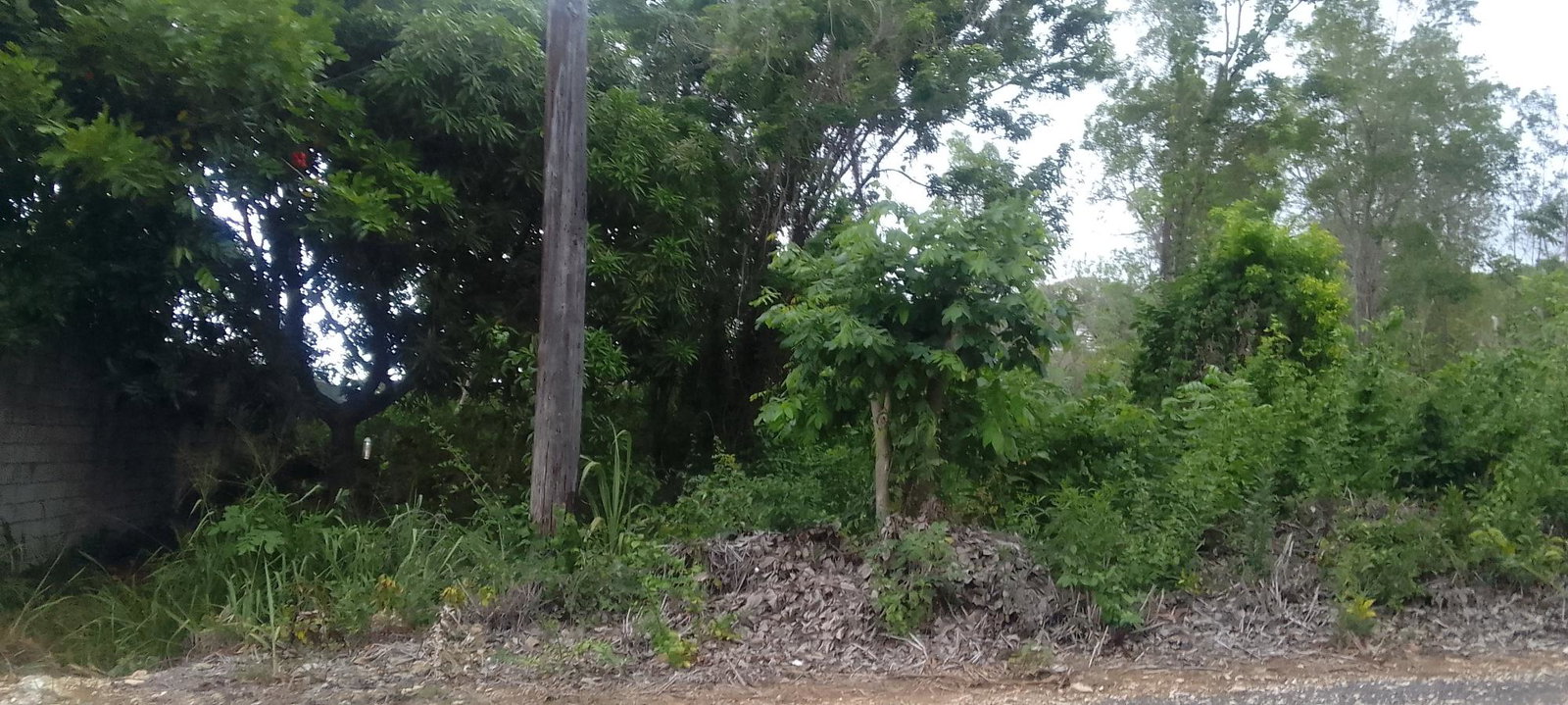 First image of 157 Torada Heights, Ironshore in Ironshore, St. James, Jamaica - property is For Sale
