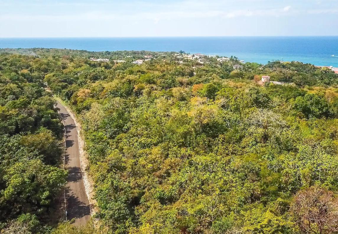 Residential-Lot-for-Sale-in-Tower-Isle-St.-Mary-–-Build-Your-Dream-Home-Near-Ocho-Rios Third image of 50- Tower Isle in Tower Isle, St. Mary, Jamaica - property is For Sale