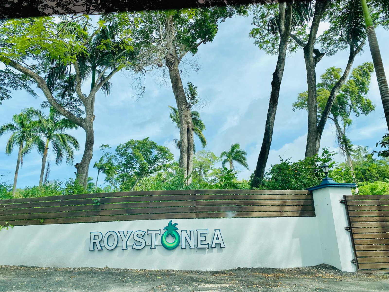 Residential-Lot-for-Sale-in-Tower-Isle-St.-Mary-–-Build-Your-Dream-Home-Near-Ocho-Rios First image of 50- Tower Isle in Tower Isle, St. Mary, Jamaica - property is For Sale