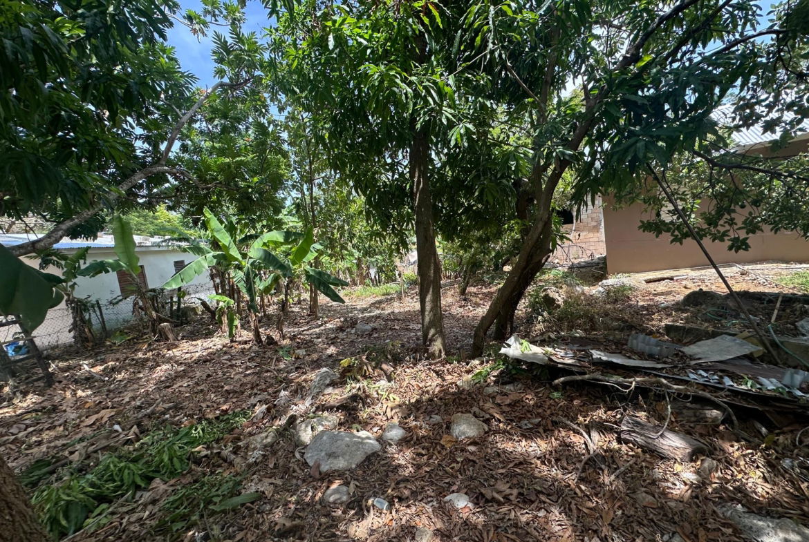 Eleventh image of 356 Sunset Street in HAGUE HOUSING SCHEME, Trelawny, Jamaica - property is For Sale