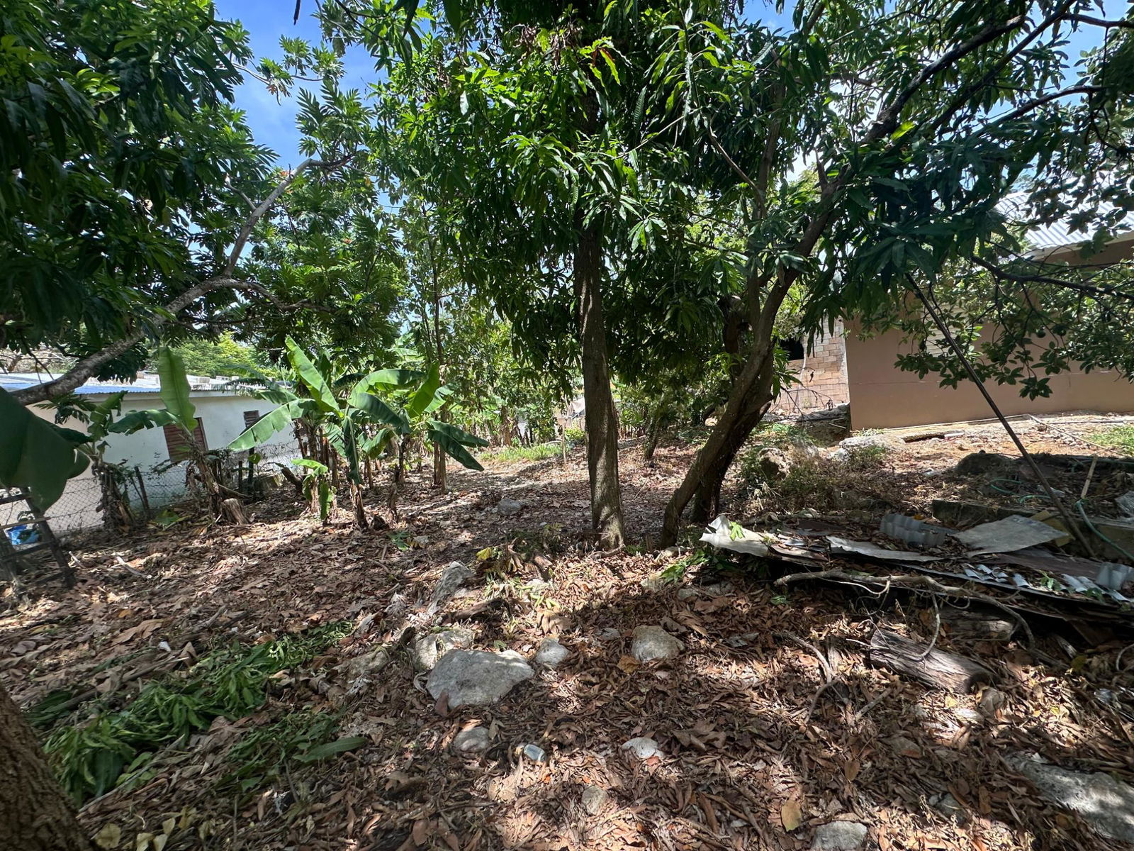 Eleventh image of 356 Sunset Street in HAGUE HOUSING SCHEME, Trelawny, Jamaica - property is For Sale