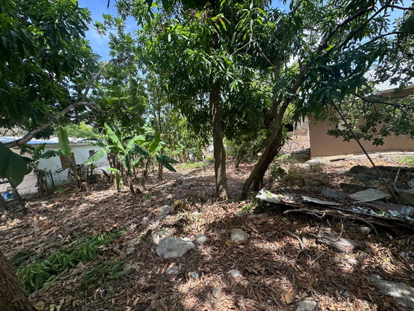 Eleventh image of 356 Sunset Street in HAGUE HOUSING SCHEME, Trelawny, Jamaica - property is For Sale