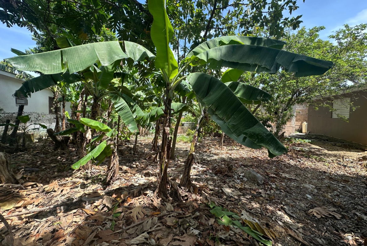 Twelfth image of 356 Sunset Street in HAGUE HOUSING SCHEME, Trelawny, Jamaica - property is For Sale