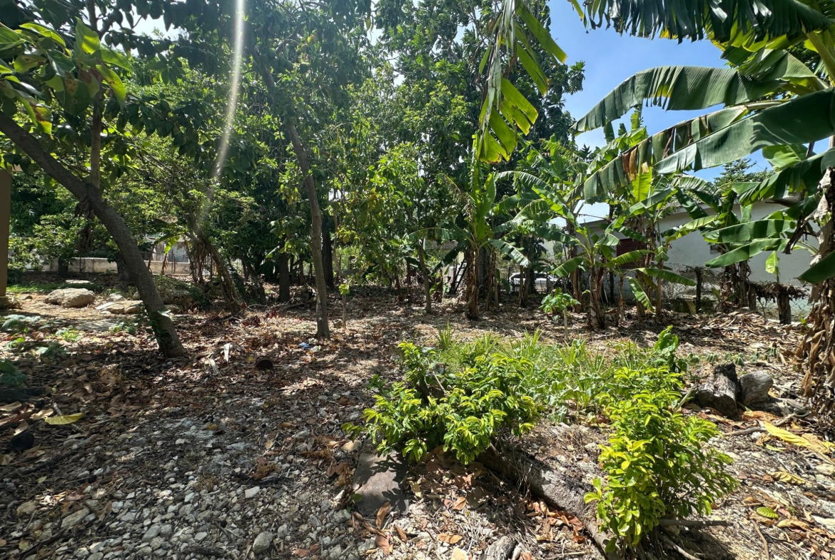 Thirteenth image of 356 Sunset Street in HAGUE HOUSING SCHEME, Trelawny, Jamaica - property is For Sale