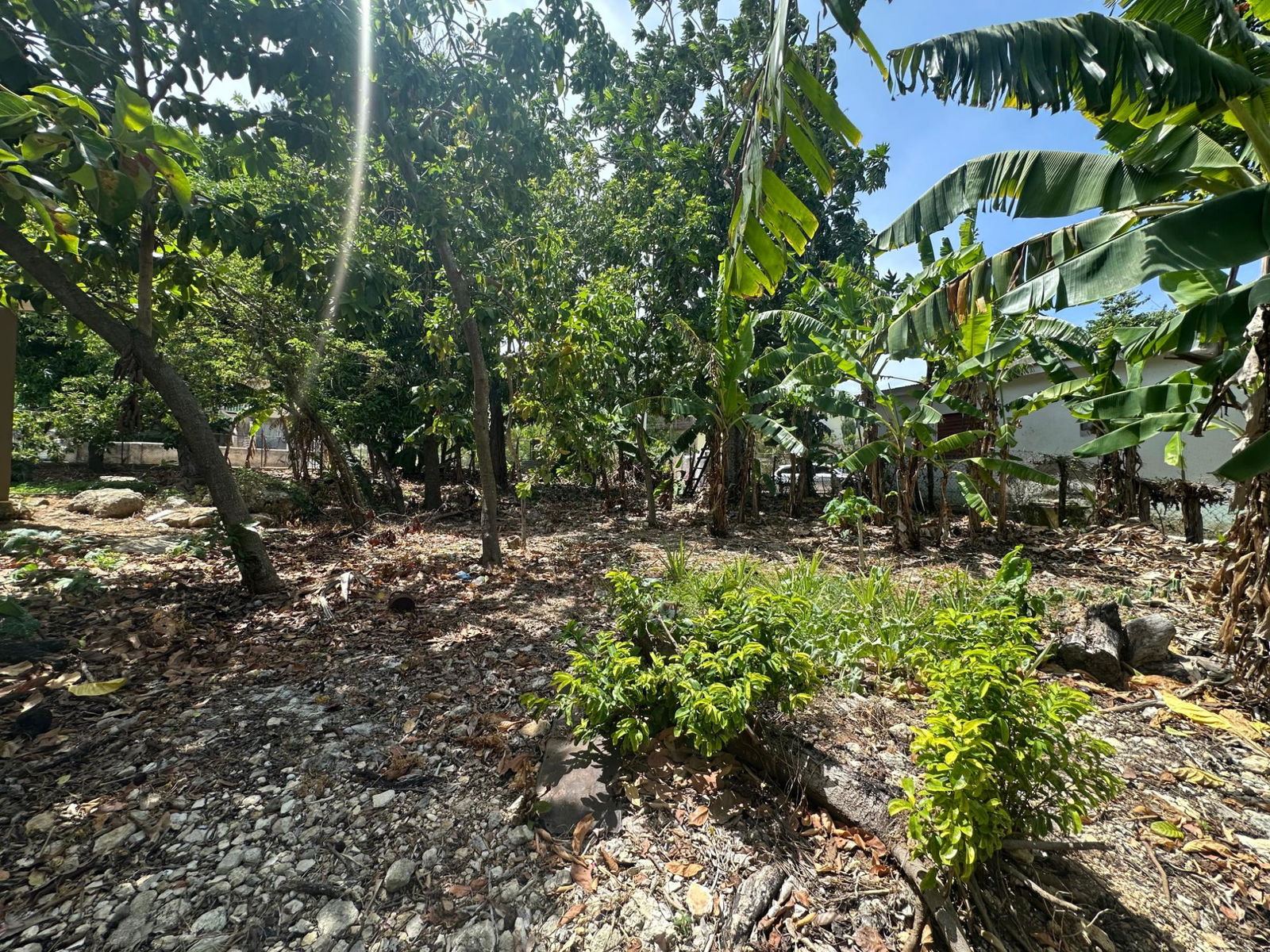 Thirteenth image of 356 Sunset Street in HAGUE HOUSING SCHEME, Trelawny, Jamaica - property is For Sale