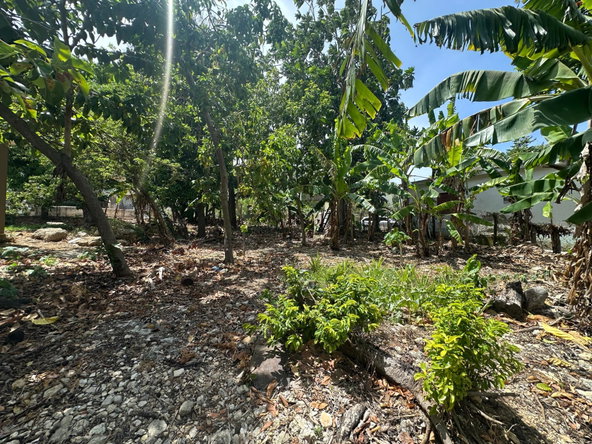 Thirteenth image of 356 Sunset Street in HAGUE HOUSING SCHEME, Trelawny, Jamaica - property is For Sale