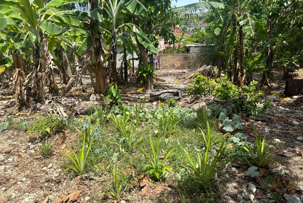 Eighth image of 356 Sunset Street in HAGUE HOUSING SCHEME, Trelawny, Jamaica - property is For Sale