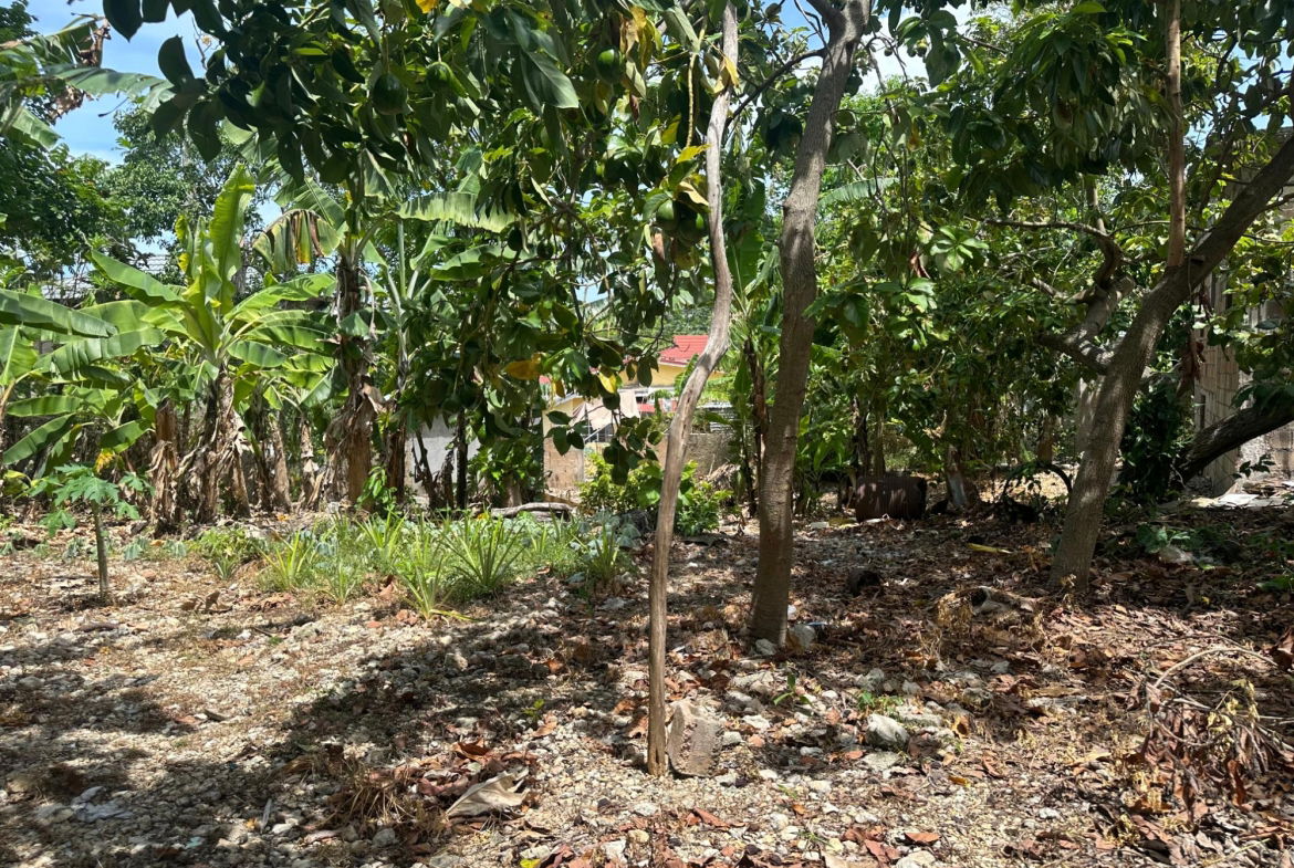 Ninth image of 356 Sunset Street in HAGUE HOUSING SCHEME, Trelawny, Jamaica - property is For Sale
