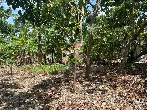 Ninth image of 356 Sunset Street in HAGUE HOUSING SCHEME, Trelawny, Jamaica - property is For Sale