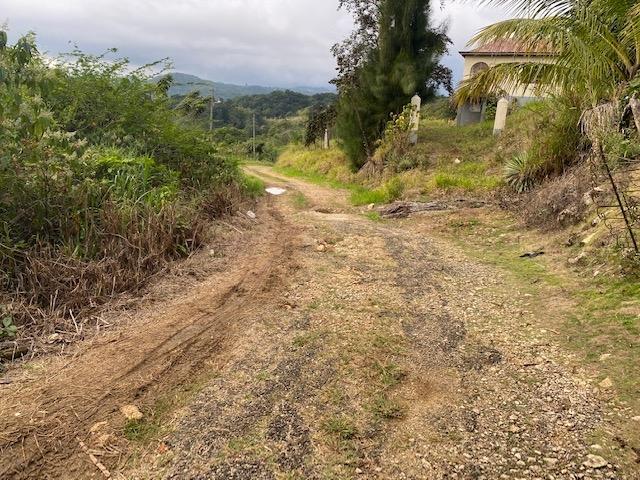 Second image of Land Part of Troy in Troy, Trelawny, Jamaica - property is For Sale