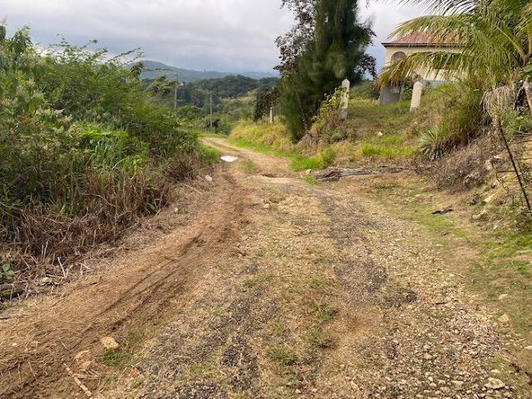 Second image of Land Part of Troy in Troy, Trelawny, Jamaica - property is For Sale