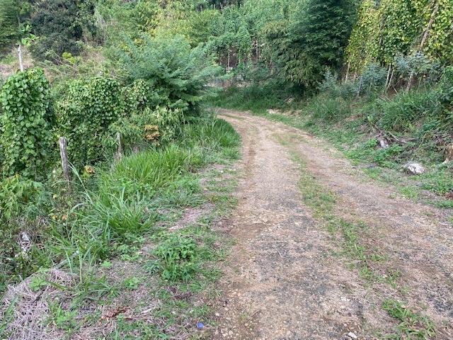 Fourth image of Land Part of Troy in Troy, Trelawny, Jamaica - property is For Sale