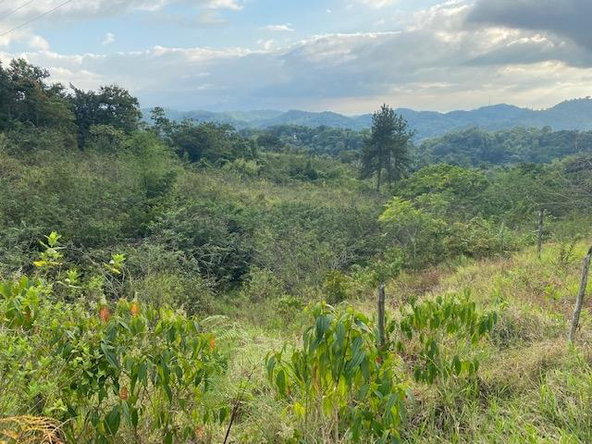 Fifth image of Land Part of Troy in Troy, Trelawny, Jamaica - property is For Sale