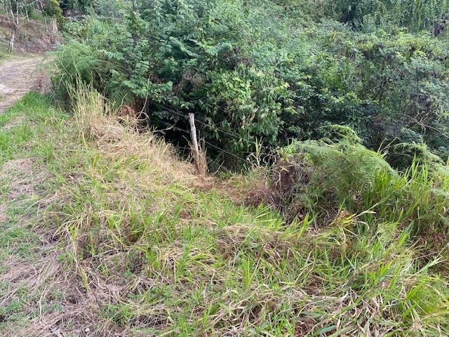 Sixth image of Land Part of Troy in Troy, Trelawny, Jamaica - property is For Sale
