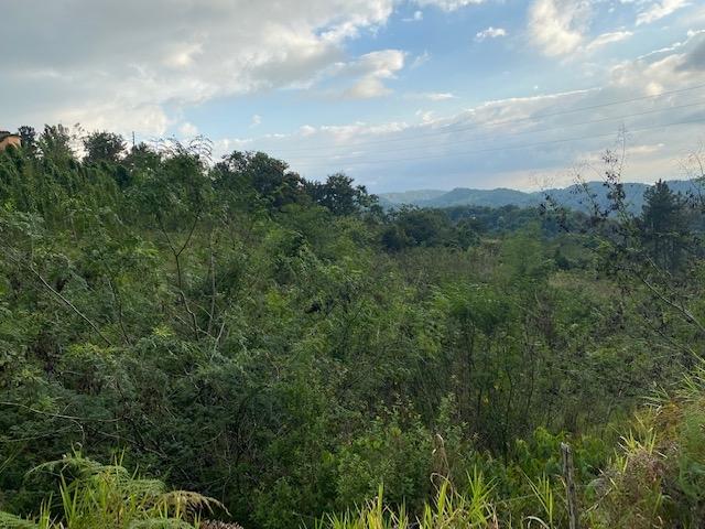 First image of Land Part of Troy in Troy, Trelawny, Jamaica - property is For Sale
