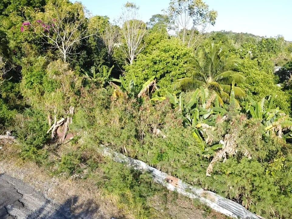Fourth image of Lot 9- Water Valley, Morant Bay, in Morant Bay, St. Thomas, Jamaica - property is For Sale