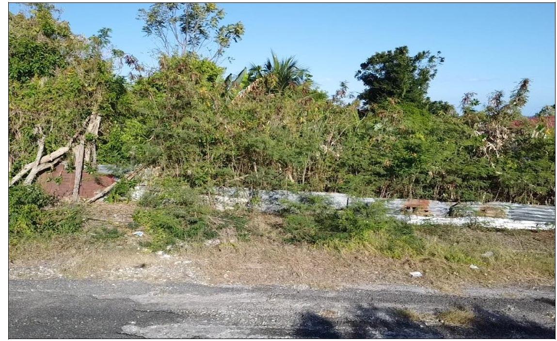 Sixth image of Lot 9- Water Valley, Morant Bay, in Morant Bay, St. Thomas, Jamaica - property is For Sale