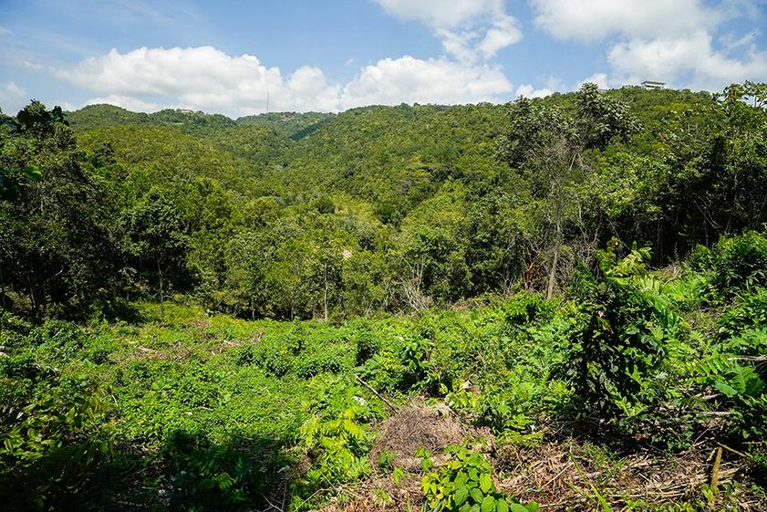 Eighth image of Lot 18 Woodland Heights in Red Hills, St. Andrew, Jamaica - property is For Sale