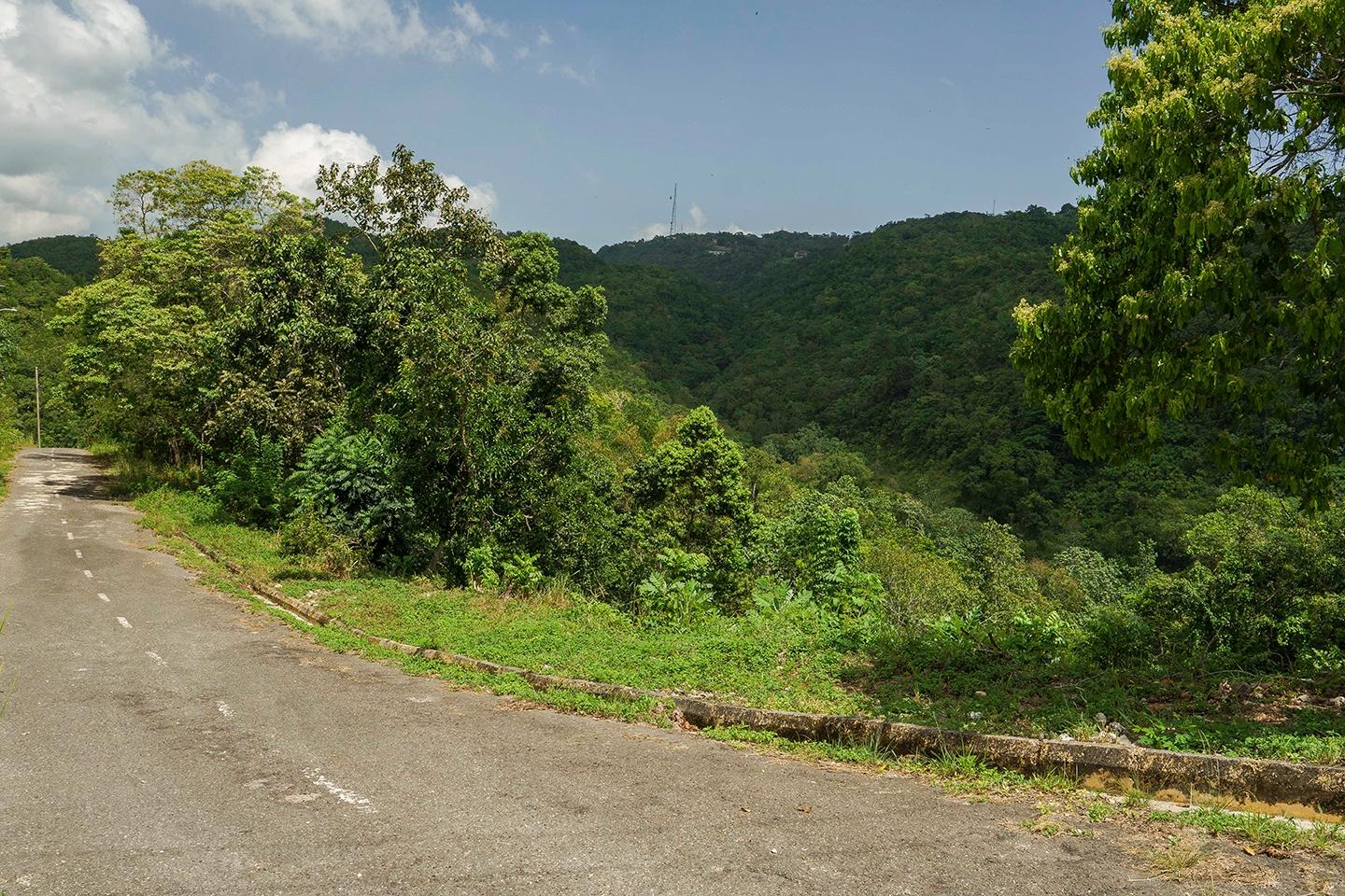 Ninth image of Lot 18 Woodland Heights in Red Hills, St. Andrew, Jamaica - property is For Sale