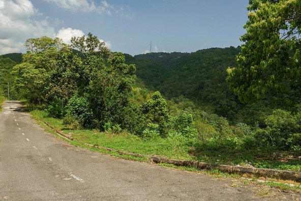 Ninth image of Lot 18 Woodland Heights in Red Hills, St. Andrew, Jamaica - property is For Sale