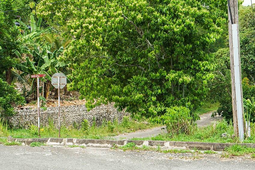 Tenth image of Lot 18 Woodland Heights in Red Hills, St. Andrew, Jamaica - property is For Sale