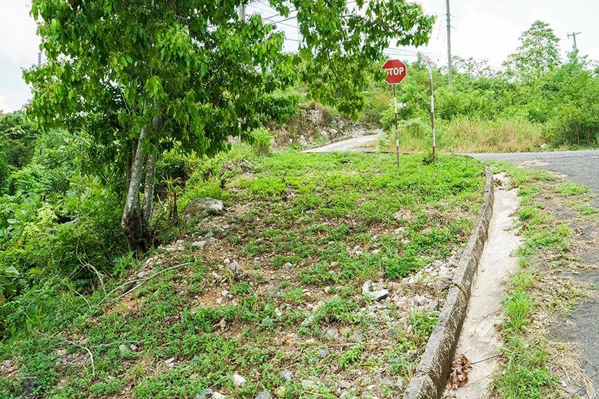 Eleventh image of Lot 18 Woodland Heights in Red Hills, St. Andrew, Jamaica - property is For Sale