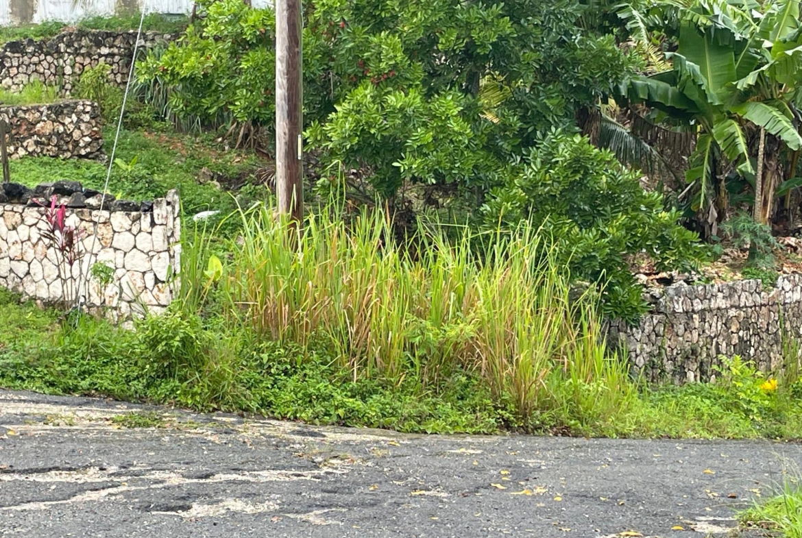 Thirteenth image of Lot 18 Woodland Heights in Red Hills, St. Andrew, Jamaica - property is For Sale