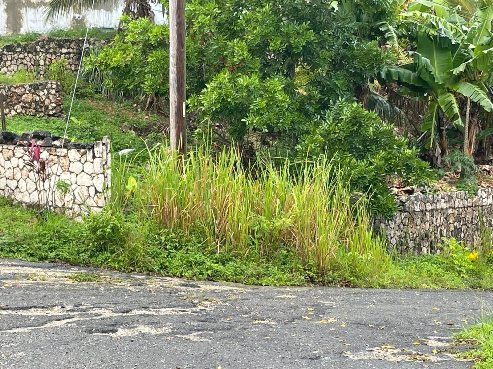 Thirteenth image of Lot 18 Woodland Heights in Red Hills, St. Andrew, Jamaica - property is For Sale