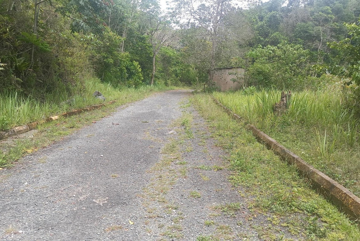 Third image of Lot 7-grove Cres Woodland Heights, Red Hil in Red Hills, St. Andrew, Jamaica - property is For Sale