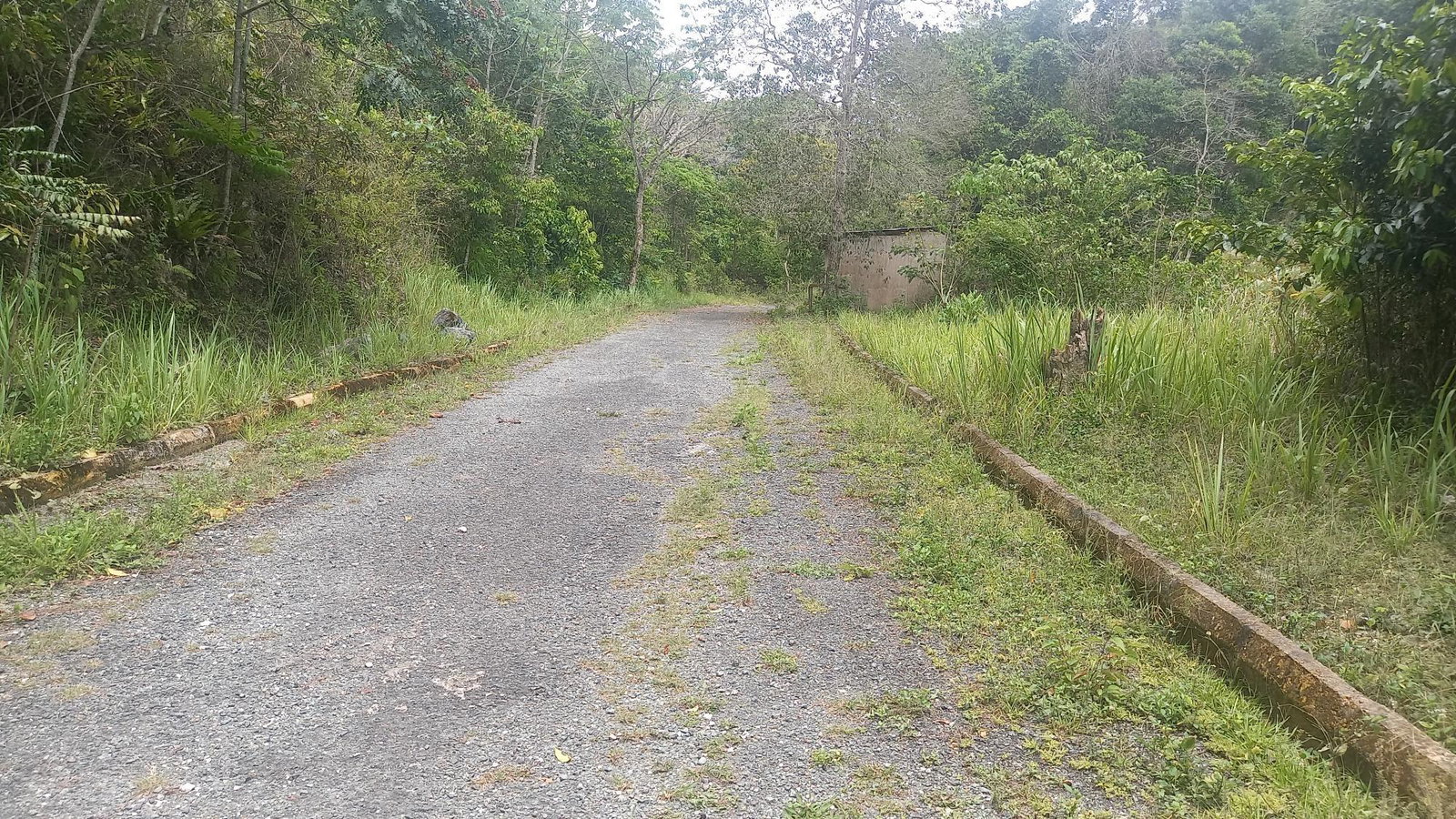 Residential-Lot-for-Sale-in-Woodland-Heights-Red-Hills-St.-Andrew-Jamaica Third image of Lot 7-grove Cres Woodland Heights, Red Hil in Red Hills, St. Andrew, Jamaica - property is For Sale