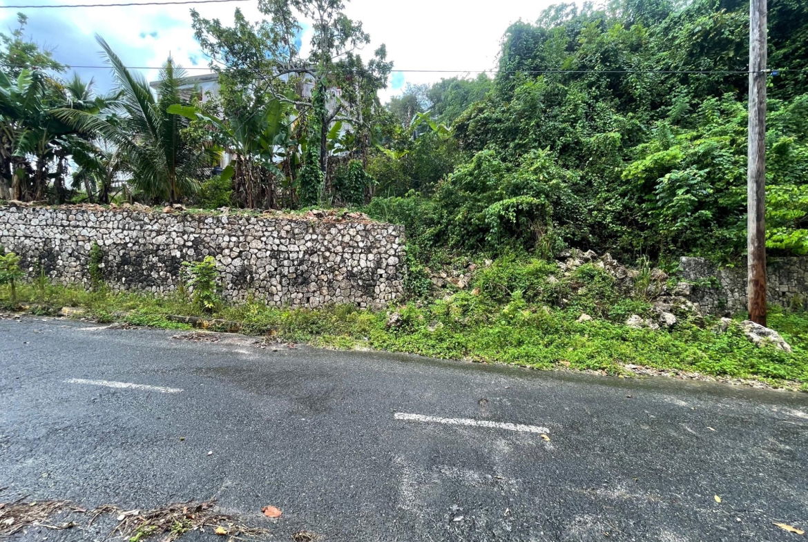 Eighteenth image of Lot 18 Woodland Heights in Red Hills, St. Andrew, Jamaica - property is For Sale