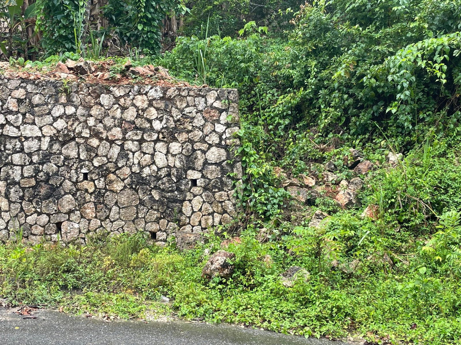 Nineteenth image of Lot 18 Woodland Heights in Red Hills, St. Andrew, Jamaica - property is For Sale