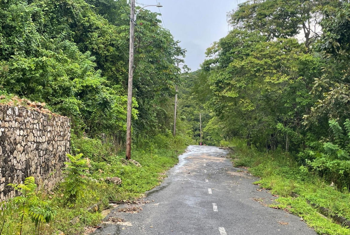Twentieth image of Lot 18 Woodland Heights in Red Hills, St. Andrew, Jamaica - property is For Sale