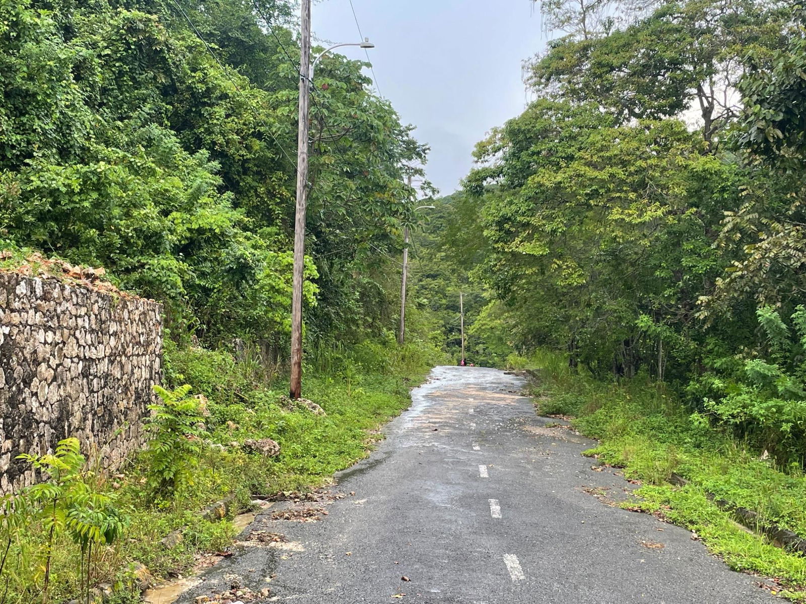 Twentieth image of Lot 18 Woodland Heights in Red Hills, St. Andrew, Jamaica - property is For Sale