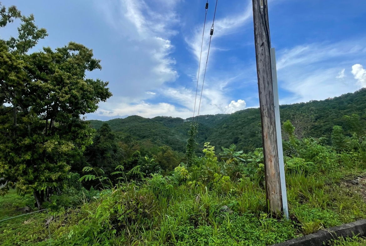 Twenty-Second image of Lot 18 Woodland Heights in Red Hills, St. Andrew, Jamaica - property is For Sale