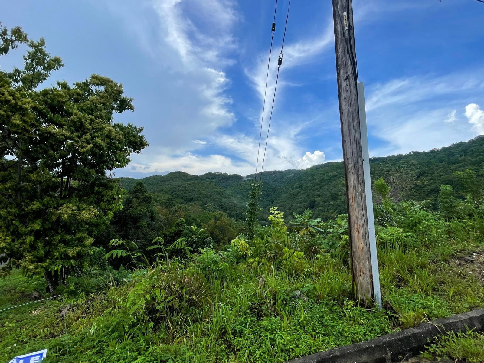 Twenty-Second image of Lot 18 Woodland Heights in Red Hills, St. Andrew, Jamaica - property is For Sale