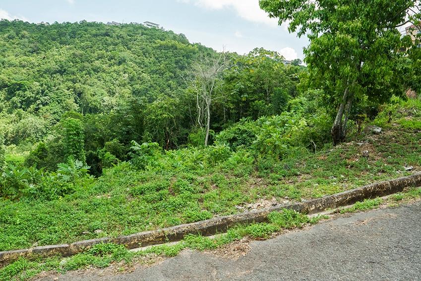 Third image of Lot 18 Woodland Heights in Red Hills, St. Andrew, Jamaica - property is For Sale