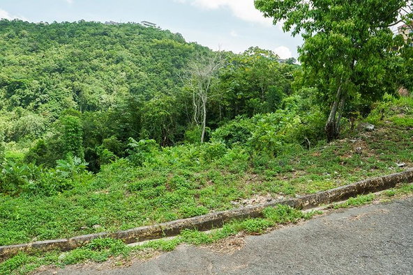 Third image of Lot 18 Woodland Heights in Red Hills, St. Andrew, Jamaica - property is For Sale