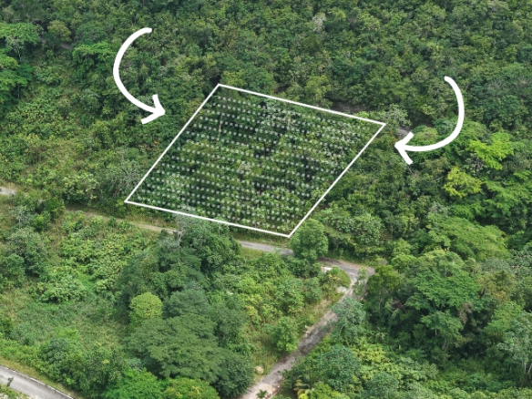 First image of Lot 7-grove Cres Woodland Heights, Red Hil in Red Hills, St. Andrew, Jamaica - property is For Sale