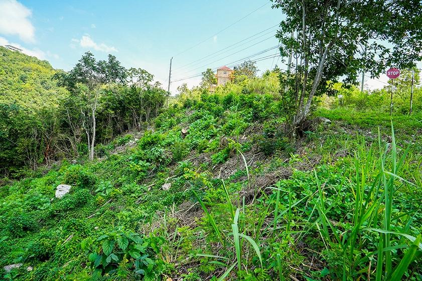 Sixth image of Lot 18 Woodland Heights in Red Hills, St. Andrew, Jamaica - property is For Sale